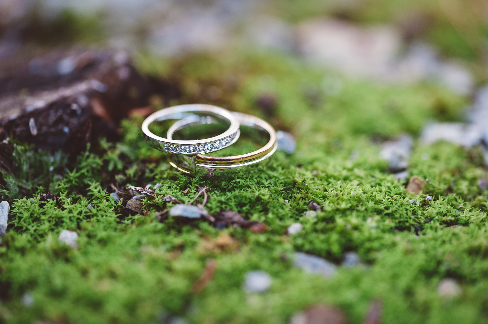 Chantal Rohan Autumn Wedding 001