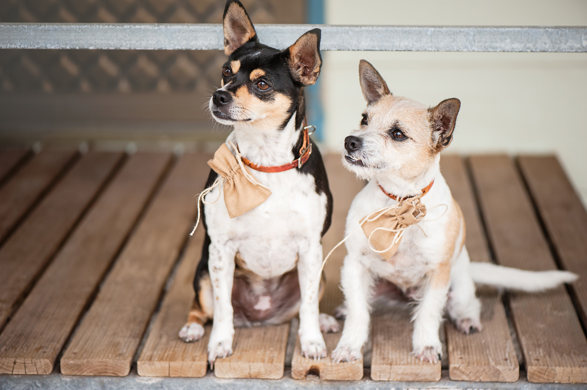 Elise Aaron Vintage Boho Wedding 002
