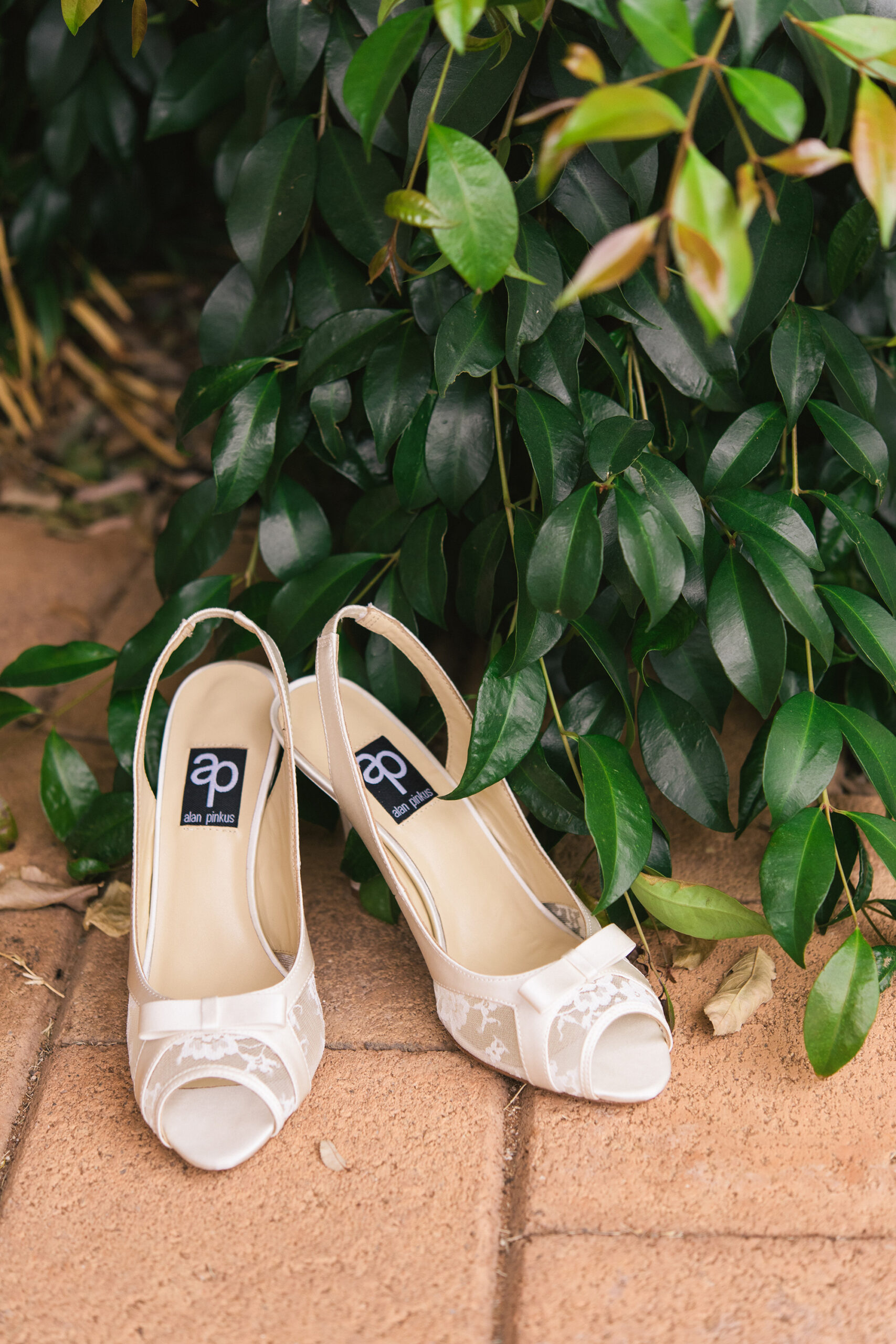Christine Paul Murray River Wedding SBS 001 scaled