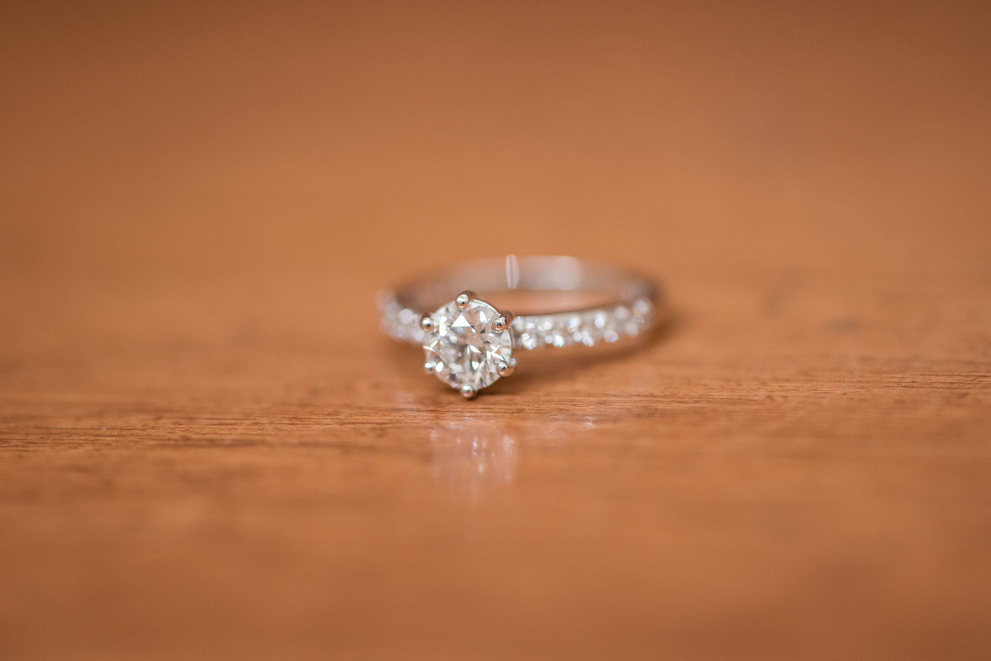 Jacinta Michael Modern Classic Wedding 003