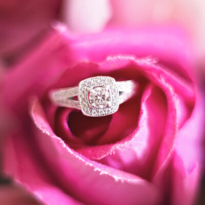 Taylah Dean Romantic Garden Wedding Amy Rebekah Photography Design SBS 002
