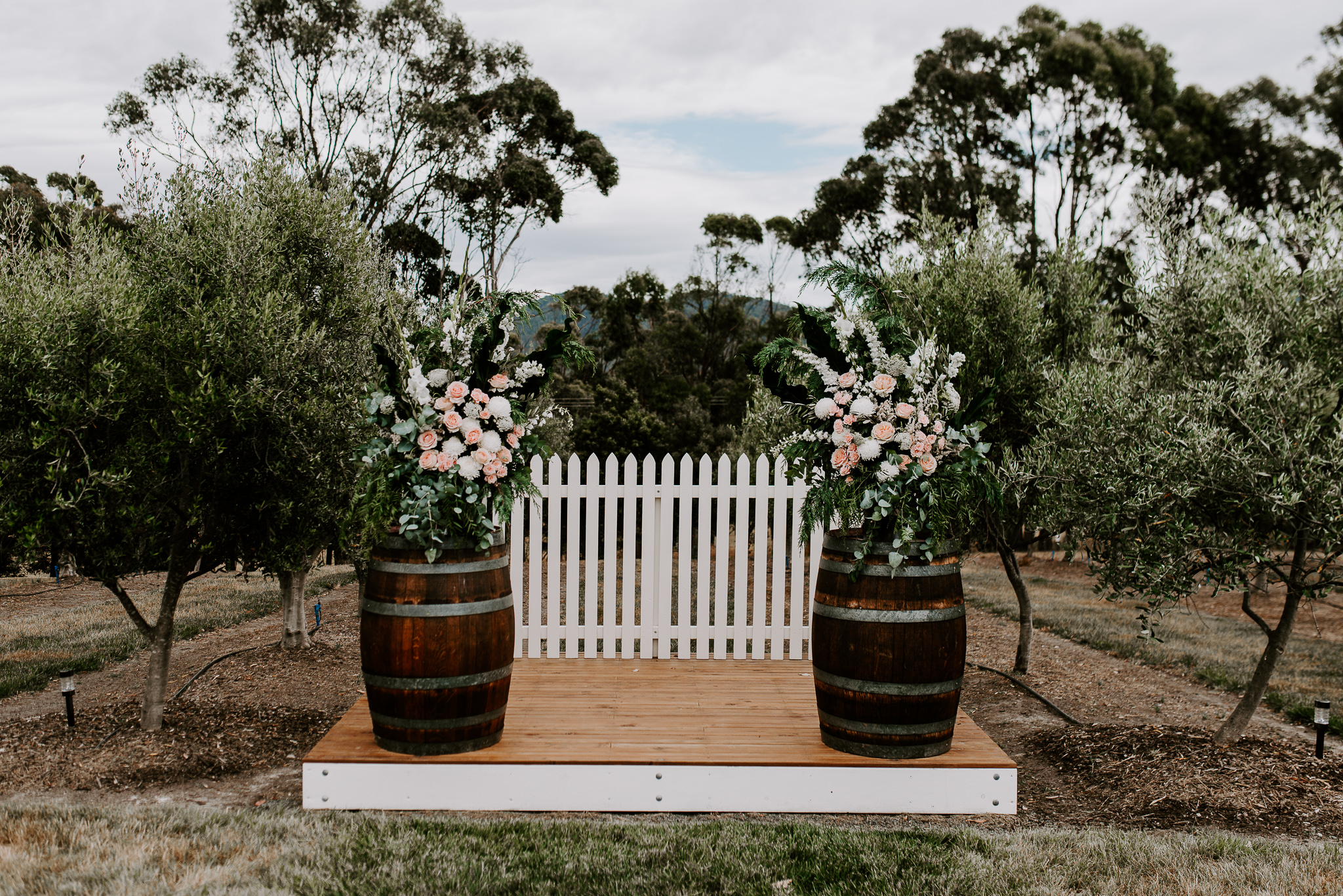 sophiesullivanphotos 33