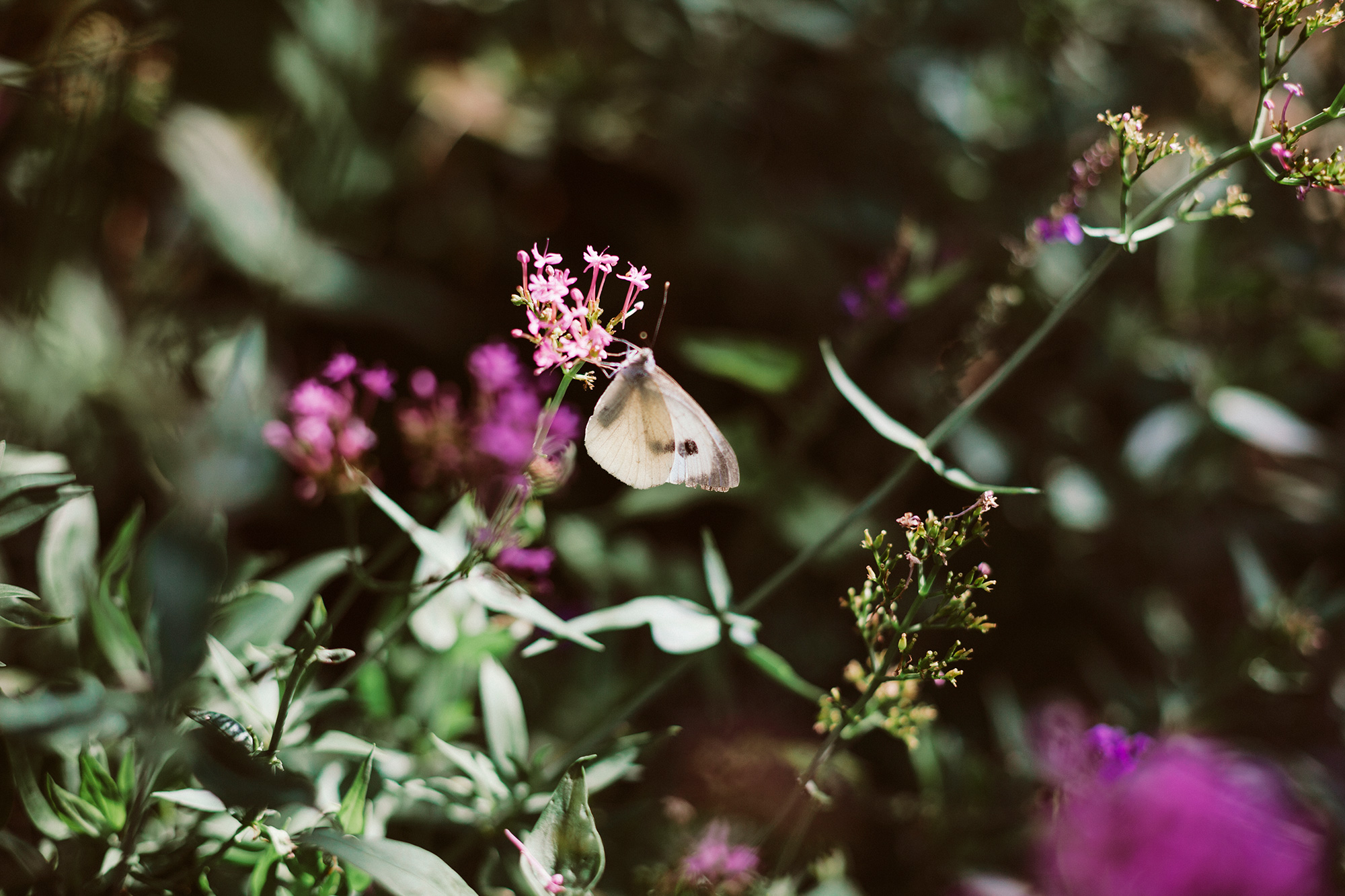 When love is a world away: Elli and Terry marry at German castle wedding Elli Terry German Castle Wedding YTZ Weddings 039