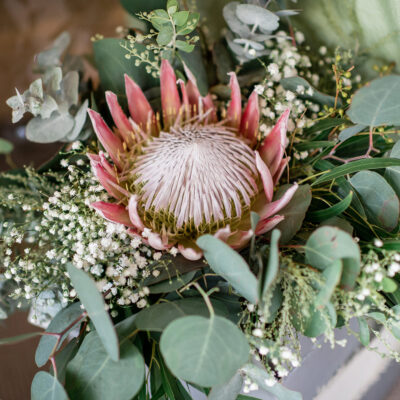 Ashley Shannan Elegant Vineyard Wedding Passion8 Photography 005