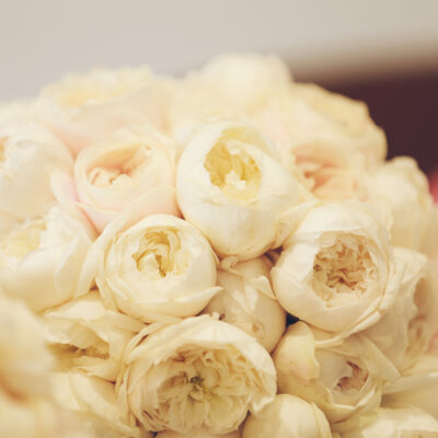 Morgan Vlasios Classic Elegant Wedding APL Photography 007