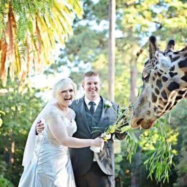 Melbourne Zoo Wedding Showcase