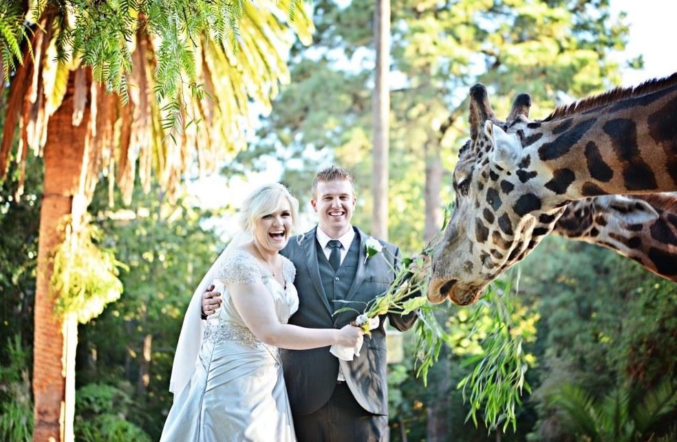 zoo2