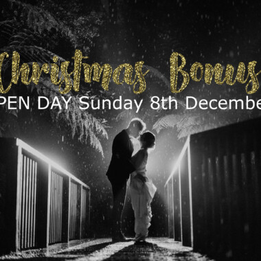 Christmas Bonus – Open Day!
