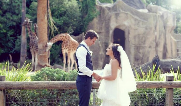 Melbourne Zoo1