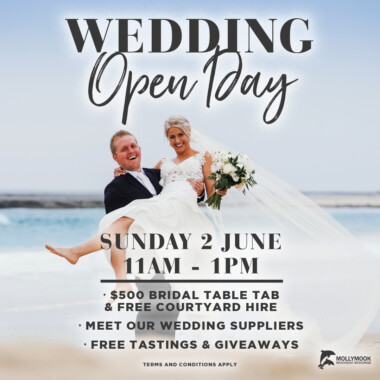 2019 Mollymook Beachside Wedding Open Day