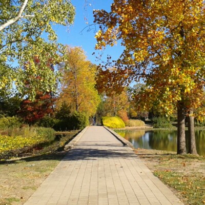 Commonwealth Park