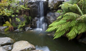 rock garden waterfall