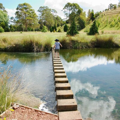 The Tasmanian Arboretum