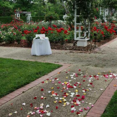 rose gardens ACT1