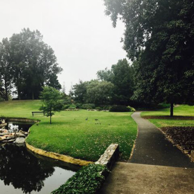 Veale Gardens 3444444
