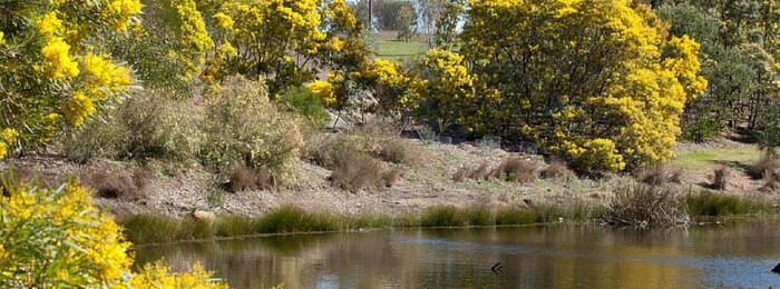 Wedding Location NSW - Australian Botanic Garden – The Island @ Wattle Garden