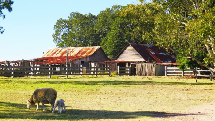 Wedding Location NSW - Bella Vista Farm