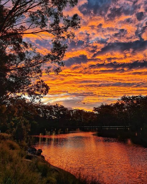 Wedding Location NSW - Parramatta Park