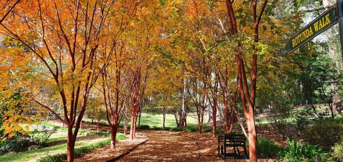 Wedding Location QLD - Tamborine Mountain Botanic Gardens