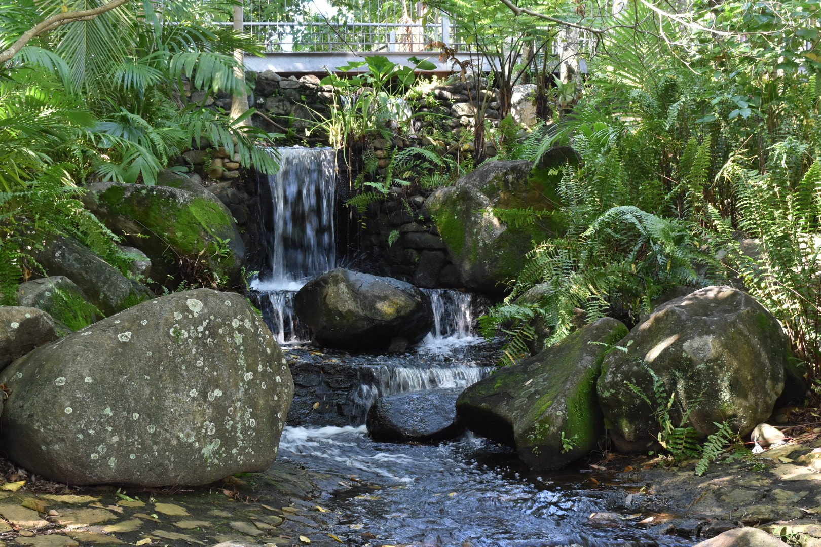 Mackay Botanic Gardens Easy Weddings Locations