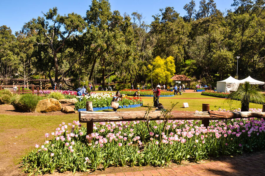 Araluen Botanical Gardens 1
