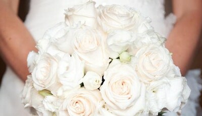 Francesca Cliffe Events