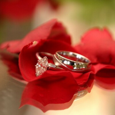 The Norwich Wedding Show