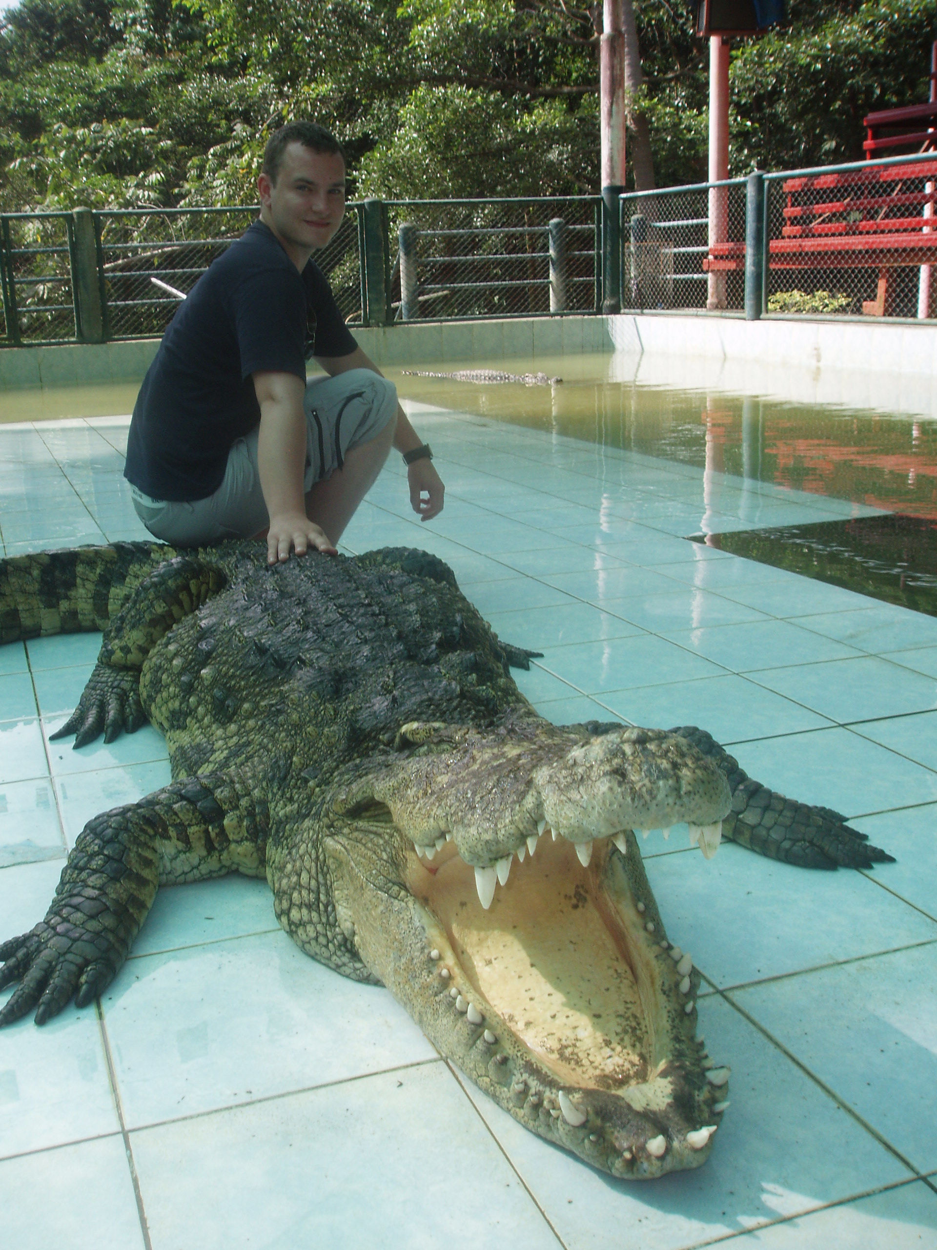 Alex wrangles a three-metre croc while holidaying in Thailand.