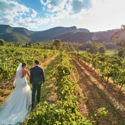 coronavirus wedding industry
