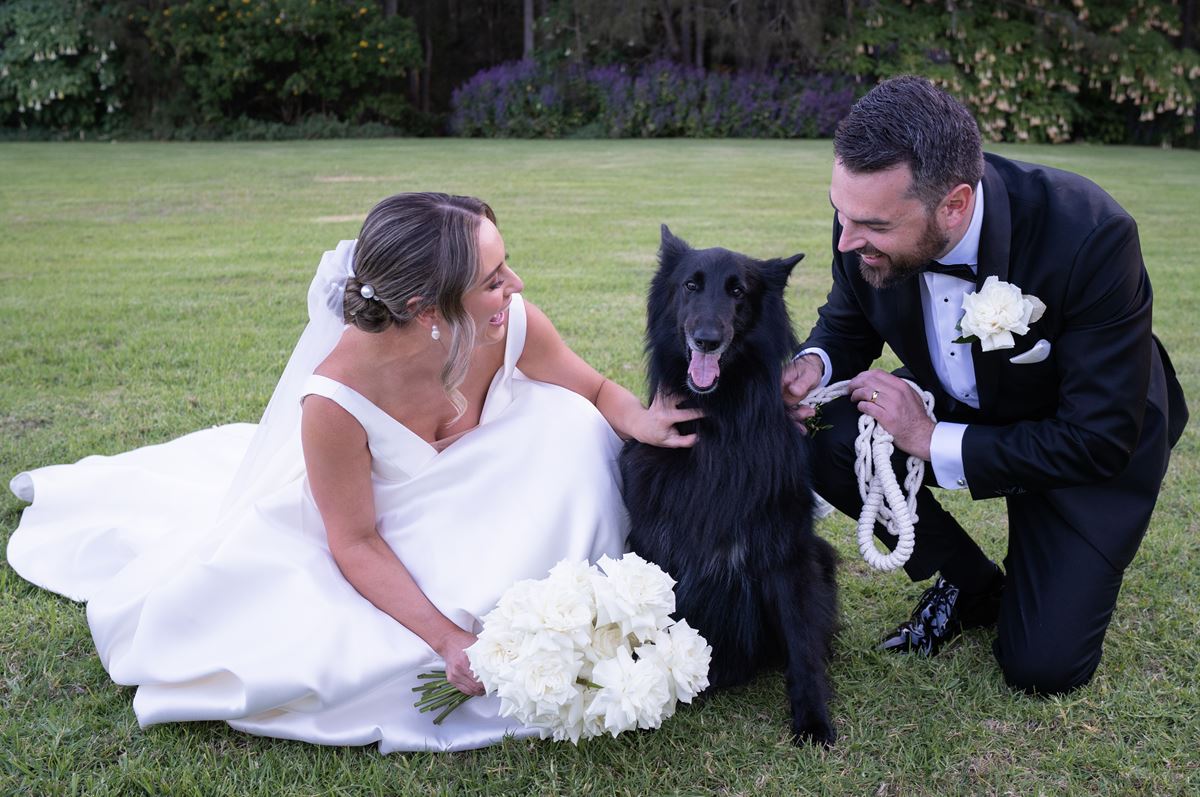 A dog and a bride and groom on the wedding day