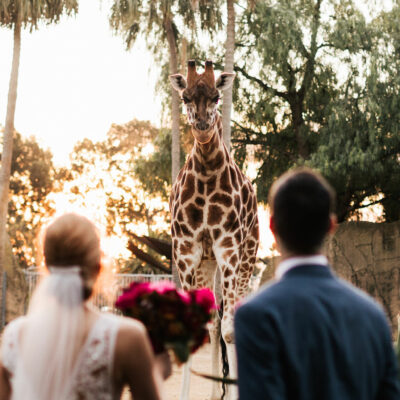 melbourne zoo