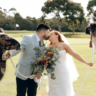 Meg Anderson Photography