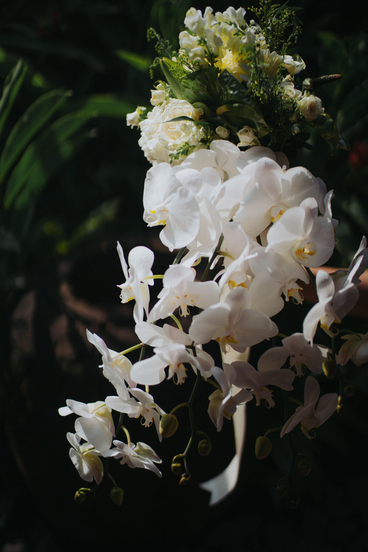 Emma and Tanna's Jeeva Klui Resort wedding captured by Kioku Visual