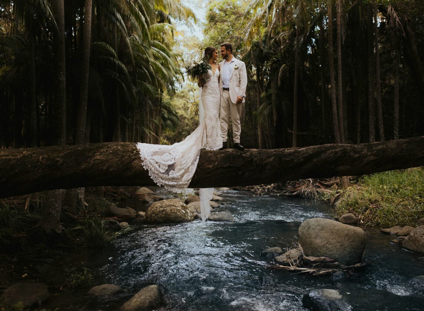 Picturesque beauty at Tamborine Mountain Glades in QLD.