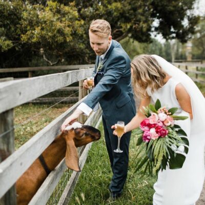 wedding with animals
