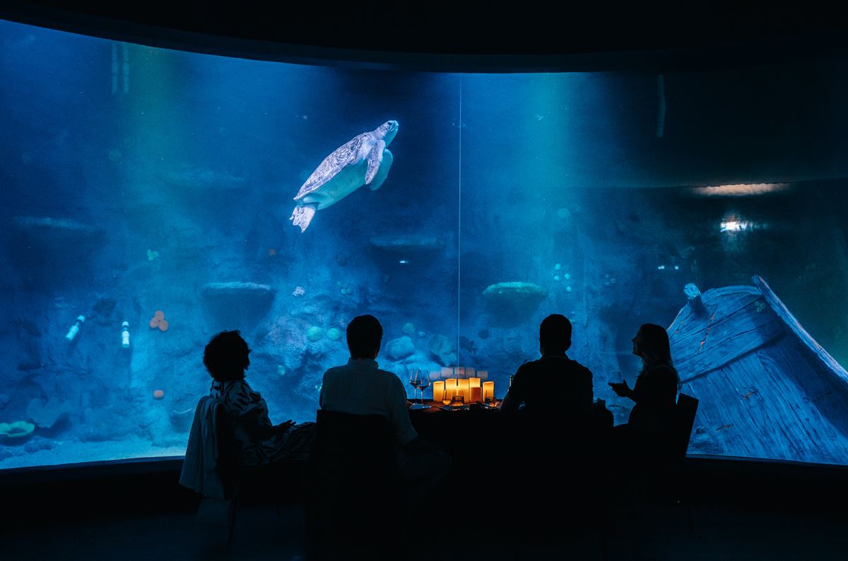 wedding guests in front of turtle