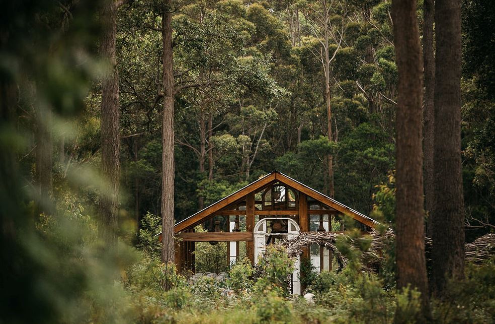the woods farm