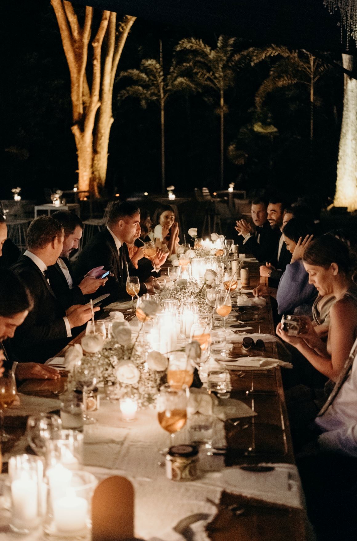 Flames of the Forest