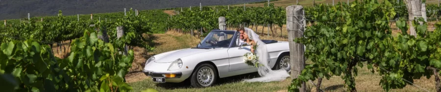 imgi 53 wedding banner