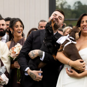 Reel Weddings