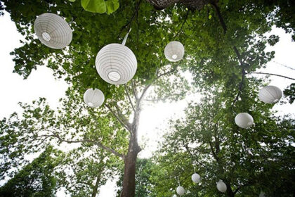 white paper lanterns hanging on trees at wedding