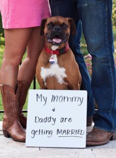 engaged couple and their dog