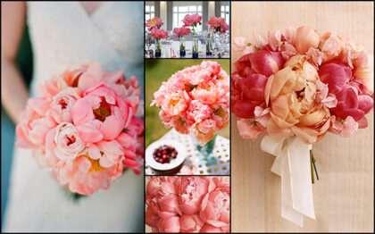 coral peonies bouquets