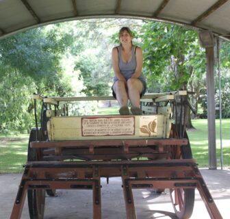 Kates Horse and Carriage