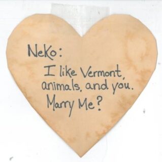 will you marry me note found in a book