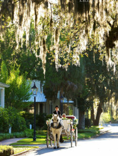 carriage ride on wedding day