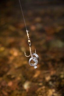 wedding rings on fishing hook