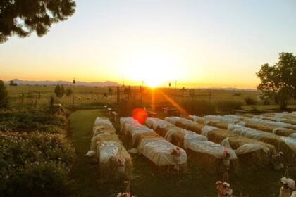 farm wedding reception tables setup