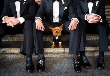 Wedding shot with the pooch