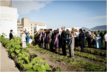 farm wedding on rooftop